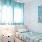 Futura * Corralejo